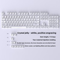 In Stock Cross-border Wholesale Crystal Jelly Keycaps Mini Full Set 114 Keys OEM PC Transparent Positive-side-printed Keycaps
