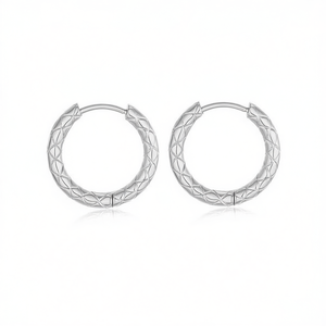 เอมี่ เอมี่ ฮูปต่างหู 2.5*8 เครื่องประดับแฟชั่นสตรีทรงเรขาคณิตชุบเงิน - Product Image 4
