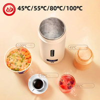 Ketel Listrik Portabel 500ML, Mug Termal Pemanas Portabel, Pemanas Air Teh, Ketel untuk Berkemah dan Mobil, Cangkir Pemanas, Kotak Pemanas, Perlengkapan Dapur