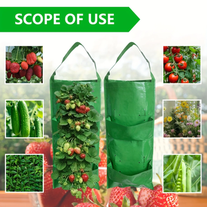 Vente en gros <span class=keywords><strong>de</strong></span> sacs <span class=keywords><strong>de</strong></span> culture pour semis, fraise et légumes, <span class=keywords><strong>sac</strong></span> <span class=keywords><strong>de</strong></span> culture PP écologique personnalisable, <span class=keywords><strong>sac</strong></span> suspendu pour plantes - Product Image 6