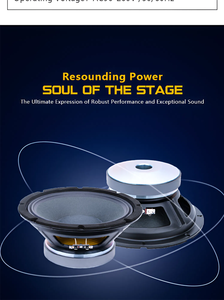 HDl20a 2 cách cổ điển 10 inch hoạt động dòng mảng Hệ thống loa - Product Image 4