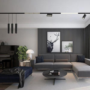 Système de <span class=keywords><strong>rail</strong></span> LED 48v blanc noir <span class=keywords><strong>pour</strong></span> <span class=keywords><strong>plafond</strong></span>, encastré, avec aimant de levage, <span class=keywords><strong>rail</strong></span> lumineux <span class=keywords><strong>pour</strong></span> éclairages magnétiques sur <span class=keywords><strong>rail</strong></span> - Product Image 6