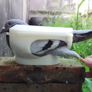 Eco-friendly Plastic Pigeon Supplies Pet <strong>Bird</strong> Medicine <strong>Feeding</strong> Vaccine Holder Observation Birdling <strong>Stand</strong> for Baby <strong>Birds</strong> Indoor - Product Image 1