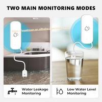 Alarme de fuite d'eau Tuya, détecteur de fuite d'eau, alerte d'inondation, système d'alarme de sécurité contre les débordements, alimenté par batterie, faible consommation
