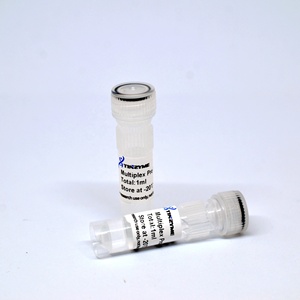 Tinzyme Multiplex Pro MasterMix, adecuado para varios tipos de PCR multiplex - Product Image 1