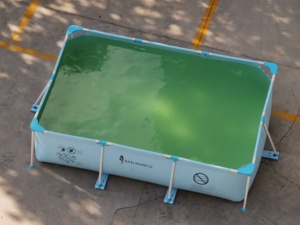 Thân thiện với gia đình dễ dàng thiết lập PVC hình chữ nhật Hồ bơi bơm hơi cho người lớn & trẻ em cho khu vườn ngoài trời & trên mặt đất bơi - Product Image 5