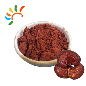 Chất lượng cao cấp thực phẩm Reishi Nấm chiết xuất bột 30% Polysaccharide 1% triterpene nhà máy bán buôn trong trống bao bì - Product Image 1