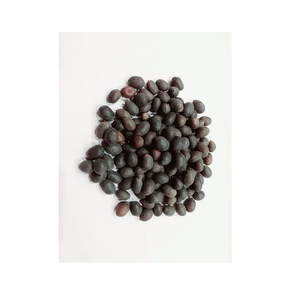 Extrait de Nelumbo Nucifera, coquille de graines de lotus noir, culture sauvage, séché, qualité alimentaire, directement d'Inde - Product Image 1