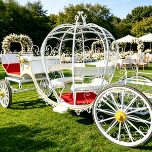 Chariot Citrouille pour Photographie de Mariage – Fournisseur Direct d'Usine, Prix Bas pour Visites de Parcs et Location Commerciale - Product Image 1