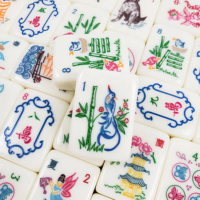 Jeu de tuiles de mahjong Crisloid Mother Nature, 165 tuiles de mahjong américaines en acrylique, en stock