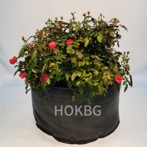 Bolsas DE CULTIVO DE PP Anti-UV HOKBG de <span class=keywords><strong>10</strong></span> galones para plantas, contenedor para plantar, bolsa tejida negra, macetas y macetas de jardín, precio de fábrica - Product Image 1