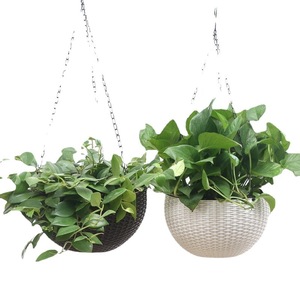 Pot de fleurs suspendu en résine, auto-arrosant, rond, bleu, beige, rouge, blanc, vert, noir, vert foncé, panier pour plantes d'intérieur et d'extérieur - Product Image 5