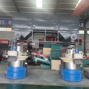 Le Fabbriche Cinesi Offrono Linee di Produzione di <span class=keywords><strong>Pellet</strong></span> di Legno a Biomassa ad Alta Capacità a Prezzi di Fabbrica - Product Image 2