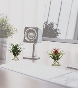 Soporte de plantas de aire geométricas de estilo nórdico, estante de Metal para plantas, macetero para <span class=keywords><strong>tillandsia</strong></span> - Product Image 3