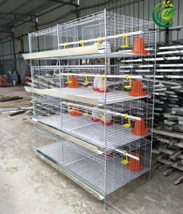 Nueva Jaula para Pollitos de Acero Galvanizado Tipo H de Cuatro Niveles y <span class=keywords><strong>Ocho</strong></span> Puertas, de Alta Calidad, Fabricada con Acero Q235 con Alto Contenido de Carbono, Entrega en 45 Días - Product Image 6