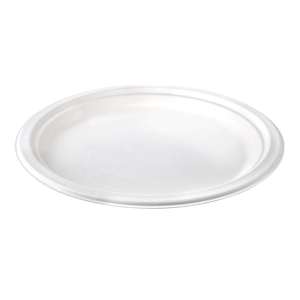Assiettes jetables en bagasse de canne à sucre pour dîner, vaisselle biodégradable et compostable pour la restauration et les événements - Product Image 1
