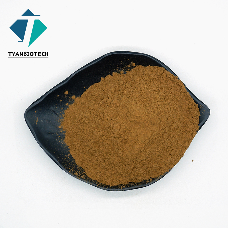 Hot Sell Hawthorn Fruit Extract 10:1 Food Grade Manufacturers Hawthorn Fruit Extract Powder