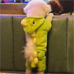 Vêtements pour chien, été, écologiques, imprimés, modernes, en coton, manteaux et vestes, pyjamas, combinaisons, barboteuses, peignoirs - Product Image 3