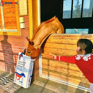 Natural Horse All Life Stages Formula Feed Premix Grain Food con suplemento de probióticos para la salud digestiva Suministro a granel - Product Image 2