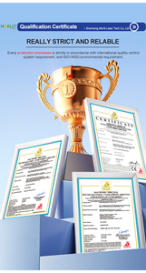 Yüksek Konfigürasyonlu Galvanometre Tarama Başlığı, CO2 Lazer Markalama Makinesi Aksesuarları için 1064nm Dalga Boyu DC 12V/24V/36V - Product Image 5