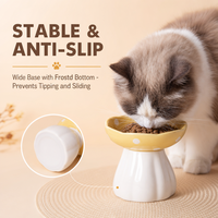 Bols pour animaux de compagnie en céramique en forme de champignon rouge, design surélevé pour chats et chiens