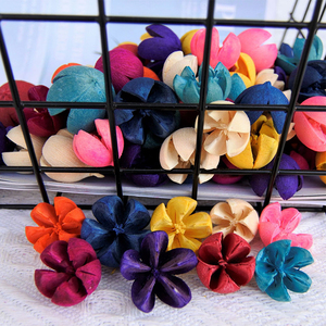 500g de Pistachos con Flores Secas Naturales, Frutos Cruzados, Mini Frutos Felices en Cáscara para Decoración del Hogar, Material para Manualidades de Boda - Product Image 4