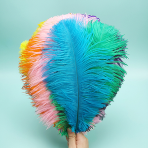 แผ่นขนนกกระจอกเทศหลากสีสำหรับตกแต่งงานแต่งงานและงานฝีมือ - Product Image 2