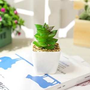 Mini nhựa mọng nước trong nồi nhựa mini mọng nước nhân tạo thực vật - Product Image 5