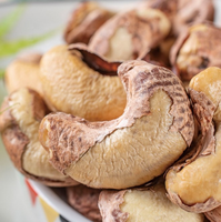 Groothandel Zoute Geroosterde Smaak Gedroogde Vruchten Cashewnoten Lekkere Snack