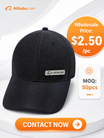 Casquette de baseball en métal avec logo personnalisé, casquette de sport ajustable de qualité supérieure, vente en gros OEM ODM, couvre-chef respirant
