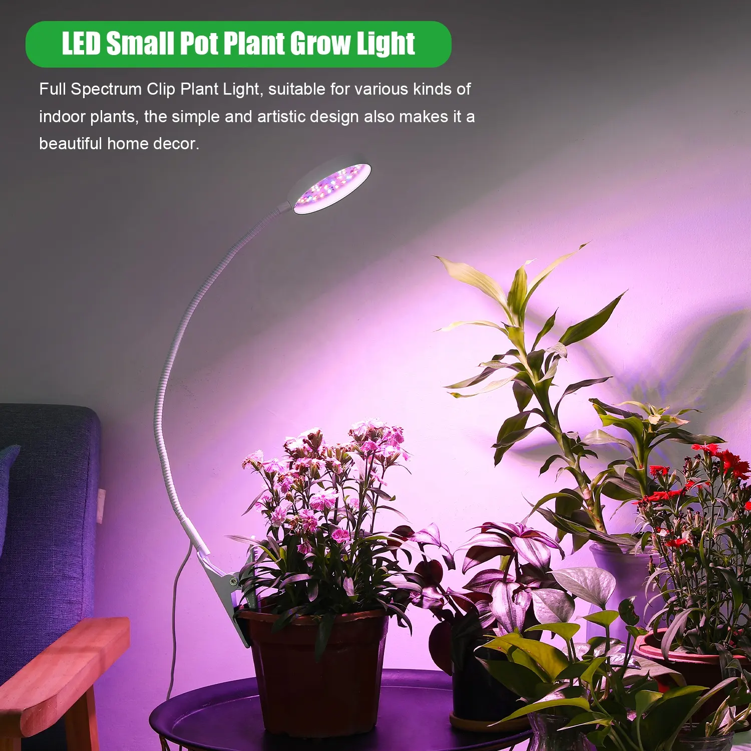 Clip de pot Offre Spéciale LED rouge/jaune/bleu lumière de plante pour la culture de plantes d'intérieur, minuterie 3/9/12H, lampe de culture de plantes avec Dim à 4 niveaux