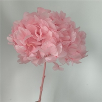 LUYI - Hoogwaardige grote hortensia's met grote bladeren, gedroogd, babyroze, paars, wit, groen, grote blauwe hortensia bloemen, geconserveerd