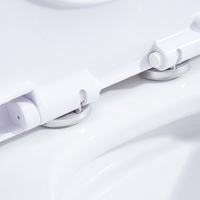 Vente chaude salle de bain ménage pompage grand siège de toilette à chasse d'eau super bain à remous toilette commune monobloc