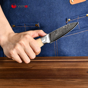 Logo personalizzato 67 strati VG10 damasco in acciaio piccolo coltello da cucina 3.5 pollici frutta coltello con manico in legno Pakka - Product Image 4