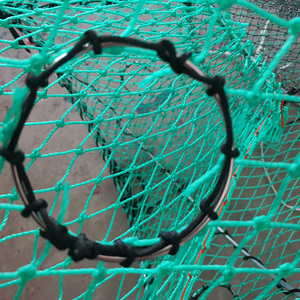 Antarctique Dent Poisson Pliable Piège Pêche Crabe <span class=keywords><strong>Cage</strong></span> Noir Morue Poisson Pot Vert Nous avec avec Sac D'appât Haute Résistance - Product Image 6