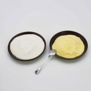 Crème à café à faible IG - Crème à café adaptée aux diabétiques - Poudre de <span class=keywords><strong>lait</strong></span> de <span class=keywords><strong>coco</strong></span> - Douceur naturelle - <span class=keywords><strong>Sans</strong></span> produits laitiers - Mélange de sucre/désertifiant - Product Image 6