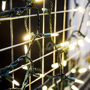 UL 상장 M5 딸기 LED 크리스마스 문자열 조명 120V <span class=keywords><strong>4</strong></span> 인치 간격 야외 방수 휴일 결혼식 상업 장식 - Product Image 2