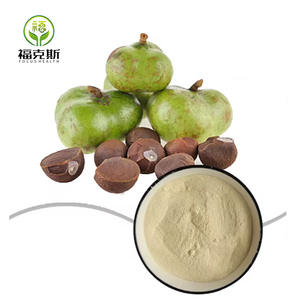 Suplementos Herbais de Alta Qualidade Extrato em Pó de Semente de Folha de Camélia <span class=keywords><strong>Sinensis</strong></span> 65% - Product Image 4