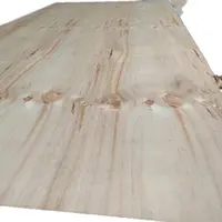 cheap plywood/Bintangor packing plywood