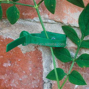 Attaches murales multifonctionnelles réglables pour plantes, sangles de jardin réglables pour le soutien des plantes grimpantes - Product Image 4