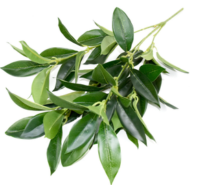 Feuilles <span class=keywords><strong>de</strong></span> <span class=keywords><strong>Laurier</strong></span> Artificielles au Toucher Réel, Branche, <span class=keywords><strong>Tige</strong></span>, Plante Végétale pour Mariage, Fête, Décoration <span class=keywords><strong>de</strong></span> Table à Domicile, Décoration Extérieure, Feuilles <span class=keywords><strong>de</strong></span> Ficus - Product Image 4