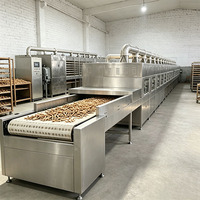 Machine de séchage à micro-ondes de type tunnel, stérilisateur à contrôle de température intelligent pour le traitement des noix, des pistaches et des amandes