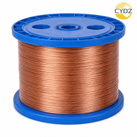 Ultra-léger 0,1-1,0 mm 155 ° Fil CCA émaillé torsadé pour application en bobinage de moteur d'outil électrique