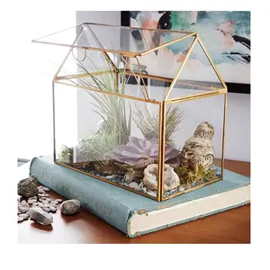 Luxury Gold Hut Glass Plants Terrarium For Tabletop Decoration