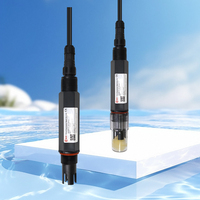 Capteur de pH pour traitement de l'eau NPT3/4 4-20mA RS485 OEM/ODM RIKA pour la surveillance des effluents des conduites d'eau municipales
