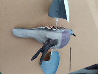 Leurre de chasse Pigeon Leurres de chasse en plastique à vendre