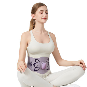 Thấp hơn trở lại Massager AB Toning vành đai loại bỏ cellulite đốt cháy chất béo AB Máy mực cho bụng tập thể dục mịn & làm săn chắc - Product Image 2