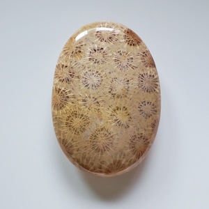 Coral Fósil Natural de Alta Calidad, Cabujón de Formas Variadas, Gema Suelta, Piedra Pulida a Máquina para Joyería y Anillos, Wicca Reiki - Product Image 2