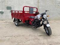 Tricycle Moto Robuste à 3 Roues pour Fret et Dockers, Moteur Essence 150CC 200CC 250CC
