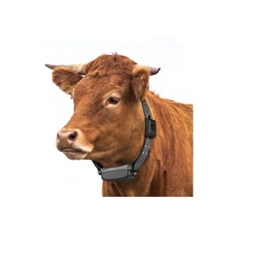 Lora Cattle Sheep Locator Animal Tracker Anti-Theft Animal GPS Locator Intelligent Breeding Network Transmission <strong>Location</strong> - Product Image 1
